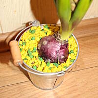 Świąteczne dekoracje