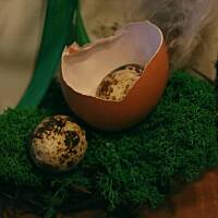 Świąteczne dekoracje