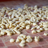 Kluseczki domowe serowe do sosów