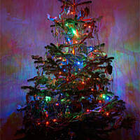 Lepiej wybrać sztuczną czy prawdziwą choinkę?