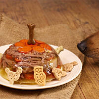 27 lutego 2016 - pierwsze urodziny Pana Morelka :) Tuż przed zjedzeniem żelatynowego tortu z indyka i marchewki :)