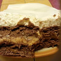 Leon.... czy też Lion