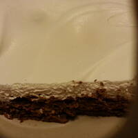 Leon.... czy też Lion