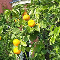 Spacerkiem u sąsiadów 