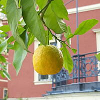 Spacerkiem u sąsiadów 