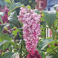 Spacerkiem u sąsiadów 