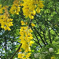 Spacerkiem u sąsiadów 