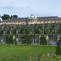 Spacerkiem u sąsiadów 