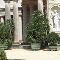 Spacerkiem u sąsiadów 