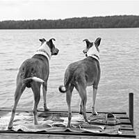 Pan Morelka z siostrą :) 