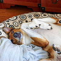 Ale o so chodzi? To już spać jak człowiek nie można? Zaraz się interesują? :D