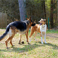 Z najlepszym kumplem :)