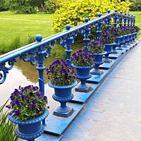 Spacerkiem u sąsiadów 