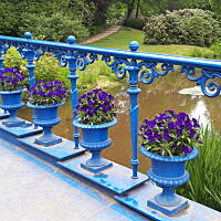 Spacerkiem u sąsiadów 