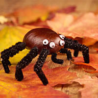 Cuda z kasztanów: Kasztanowy konik spotyka pająka giganta