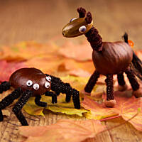 Cuda z kasztanów: Kasztanowy konik spotyka pająka giganta