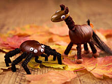 Fot. Wkn, Cuda z kasztanów: Kasztanowy konik spotyka pająka giganta