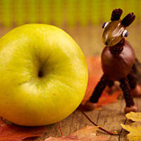 Cuda z kasztanów: Kasztanowy konik spotyka pająka giganta