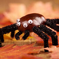 Cuda z kasztanów: Kasztanowy konik spotyka pająka giganta