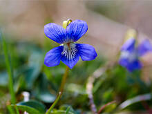 Fot. Wkn, Wiosna, wiosna 2016