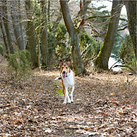 Morelek szuka wiosny (2016.04.03)