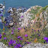 cz. I - Kolorowa Bułgaria kwieciem pachnąca ;)