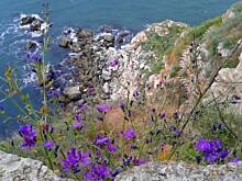 Fot. lenka075, cz. I - Kolorowa Bułgaria kwieciem pachnąca ;)