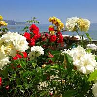 cz. I - Kolorowa Bułgaria kwieciem pachnąca ;)