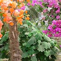 cz. I - Kolorowa Bułgaria kwieciem pachnąca ;)