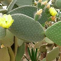 cz. I - Kolorowa Bułgaria kwieciem pachnąca ;)