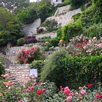 cz. I - Kolorowa Bułgaria kwieciem pachnąca ;)