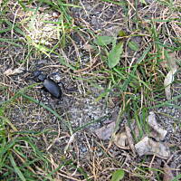 Spacerkiem po Solankach....