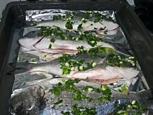 Fot. pwyso, dorada pieczona ...