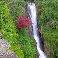 cz. I - Kolorowa Bułgaria kwieciem pachnąca ;)