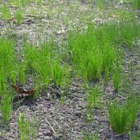 Spacerkiem po Solankach....