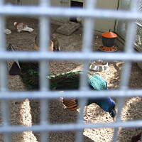 Spacerkiem po Solankach....