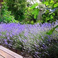 cz. I - Kolorowa Bułgaria kwieciem pachnąca ;)