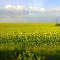 cz. I - Kolorowa Bułgaria kwieciem pachnąca ;)