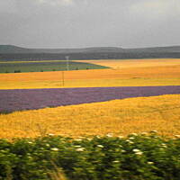 cz. I - Kolorowa Bułgaria kwieciem pachnąca ;)