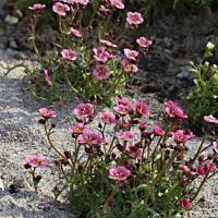 Spacerkiem po Solankach....