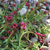 Spacerkiem po Solankach....