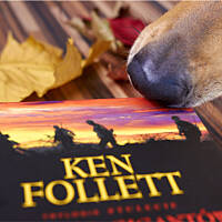 Czytać czy nie czytać... oto jest pytanie ;)