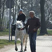 Spacerkiem po Solankach....