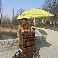 Spacerkiem po Solankach....