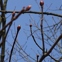 Spacerkiem po Solankach....