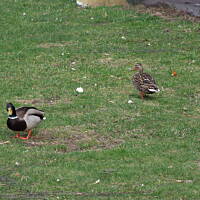 Spacerkiem po Solankach....