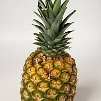 Kto powinien jeść ananasa?