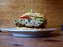 Fot. Wróbelek, Mielone z indyka i cukinii