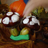 cudeńka z darów jesieni