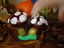 Fot. Wróbelek, cudeńka z darów jesieni